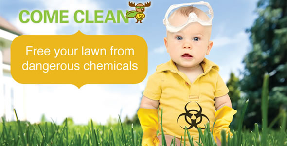 Clean Air Lawn Care The Woodlands Organic Lawn Treatment Services
